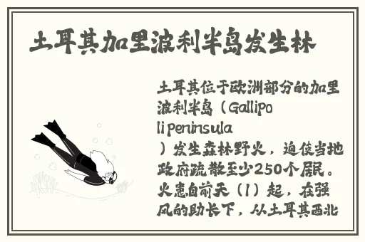 天美传媒春节回家相亲孟孟